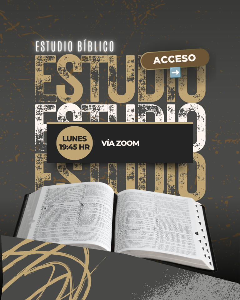 estudio bb